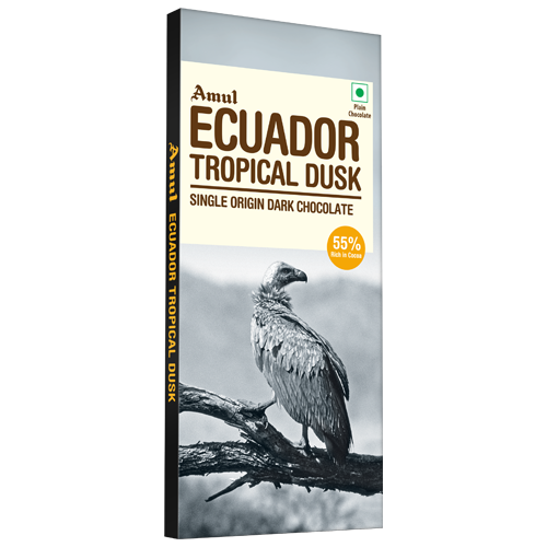 Ecuador Tropical Dusk